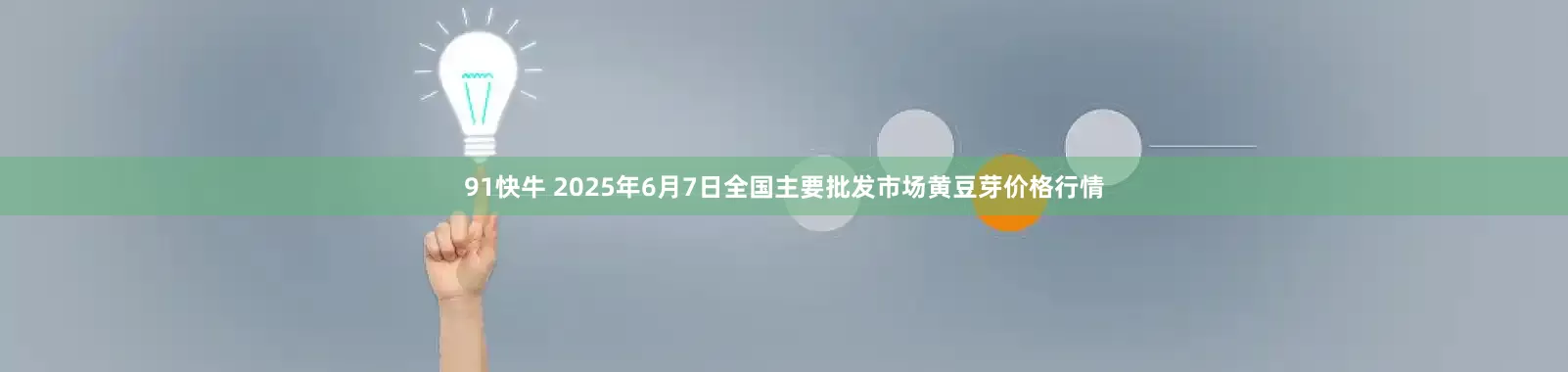 91快牛 2025年6月7日全国主要批发市场黄豆芽价格行情